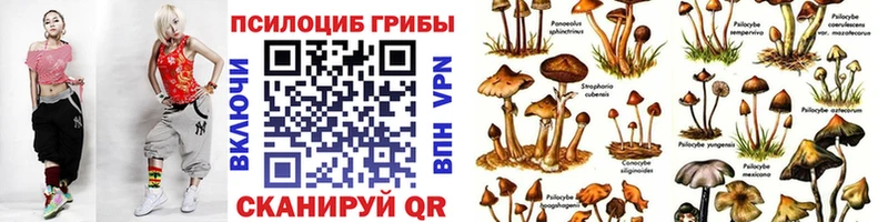 Галлюциногенные грибы прущие грибы Дубна